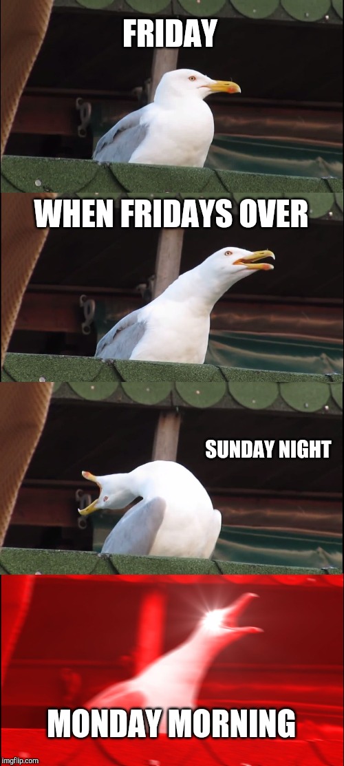Inhaling Seagull Meme | FRIDAY; WHEN FRIDAYS OVER; SUNDAY NIGHT; MONDAY MORNING | image tagged in memes,inhaling seagull | made w/ Imgflip meme maker