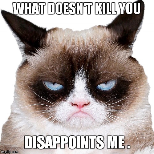 Life is full of little disappointments! | WHAT DOESN'T KILL YOU; DISAPPOINTS ME . | image tagged in grumpy cat | made w/ Imgflip meme maker