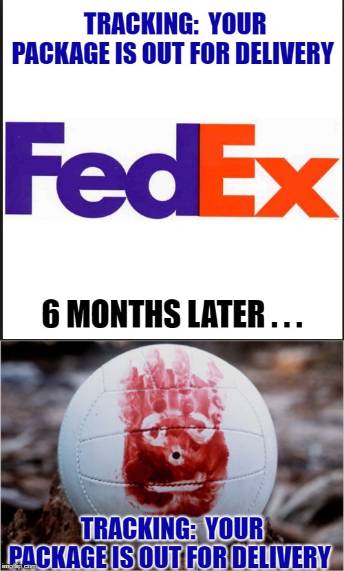 TRACKING:  YOUR PACKAGE IS OUT FOR DELIVERY TRACKING:  YOUR PACKAGE IS OUT FOR DELIVERY 6 MONTHS LATER . . . | image tagged in fedex,wilson volleyball castaway | made w/ Imgflip meme maker