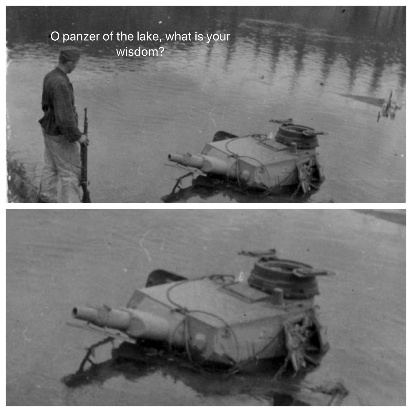 panzer of the lake Blank Meme Template
