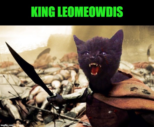 Leomeowdis | KING LEOMEOWDIS | image tagged in leomeowdis | made w/ Imgflip meme maker