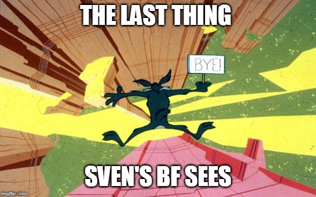 Wile E Coyote falling off of cliff | THE LAST THING; SVEN'S BF SEES | image tagged in wile e coyote falling off of cliff | made w/ Imgflip meme maker