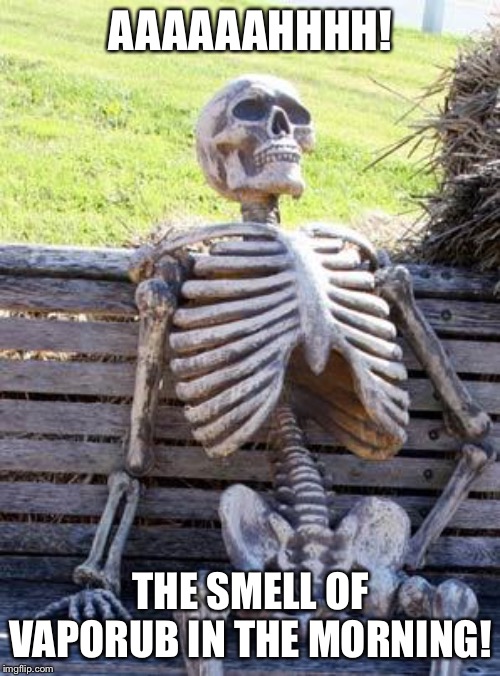 Waiting Skeleton Meme | AAAAAAHHHH! THE SMELL OF VAPORUB IN THE MORNING! | image tagged in memes,waiting skeleton | made w/ Imgflip meme maker