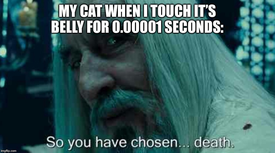 So you have chosen death | MY CAT WHEN I TOUCH IT’S BELLY FOR 0.00001 SECONDS: | image tagged in so you have chosen death | made w/ Imgflip meme maker