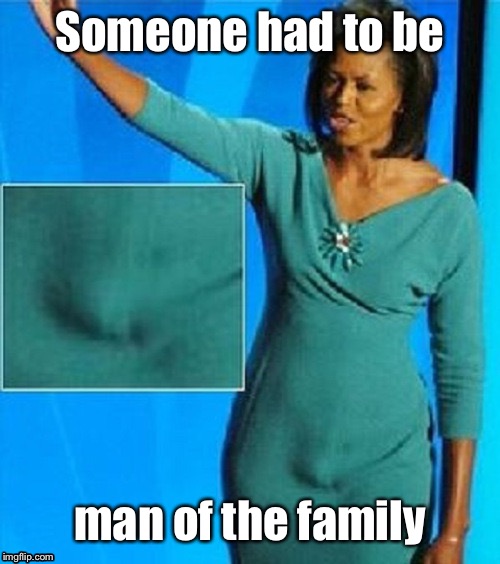 Michelle Obama Has a Penis | Someone had to be man of the family | image tagged in michelle obama has a penis | made w/ Imgflip meme maker