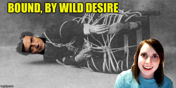 Houdini tied up | BOUND, BY WILD DESIRE | image tagged in houdini tied up | made w/ Imgflip meme maker