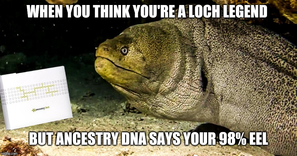 Loch Ness monster 2.0 | WHEN YOU THINK YOU'RE A LOCH LEGEND; BUT ANCESTRY DNA SAYS YOUR 98% EEL | image tagged in loch ness monster,eel,dna,scotland,supernatural,mistaken identity | made w/ Imgflip meme maker