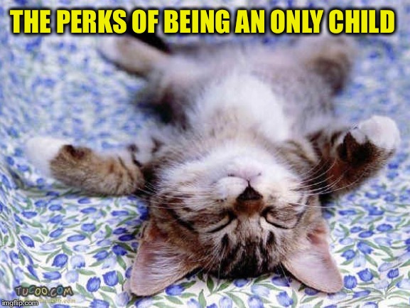 UpsideDwon Sleeping Cat | THE PERKS OF BEING AN ONLY CHILD | image tagged in upsidedwon sleeping cat | made w/ Imgflip meme maker