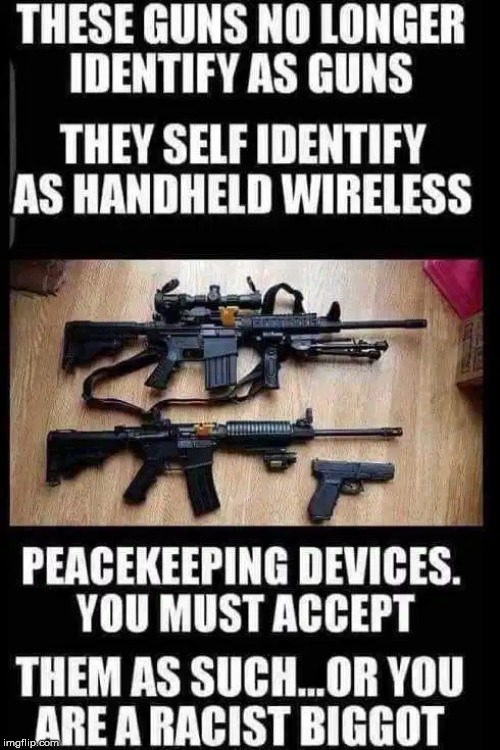 Identify as as something else? | image tagged in guns | made w/ Imgflip meme maker