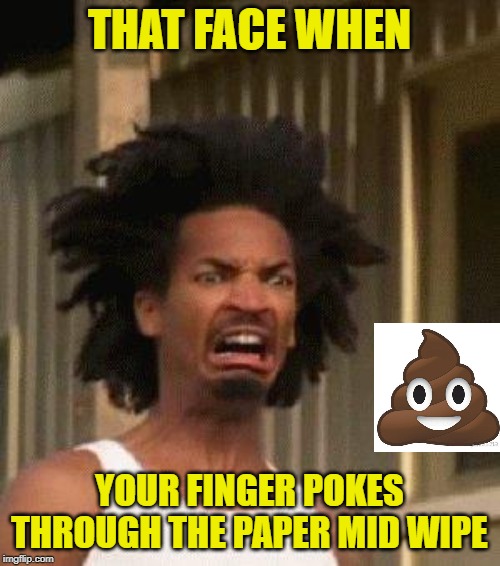 Disgusted Face | THAT FACE WHEN YOUR FINGER POKES THROUGH THE PAPER MID WIPE | image tagged in disgusted face | made w/ Imgflip meme maker