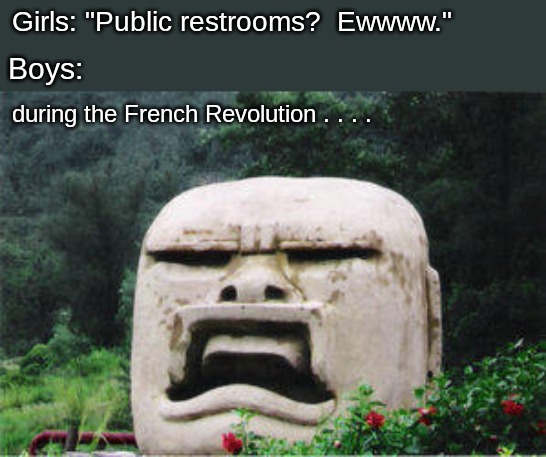 Does this meme work? | Girls: "Public restrooms?  Ewwww."; Boys:; during the French Revolution . . . . | image tagged in memes,bathroom | made w/ Imgflip meme maker