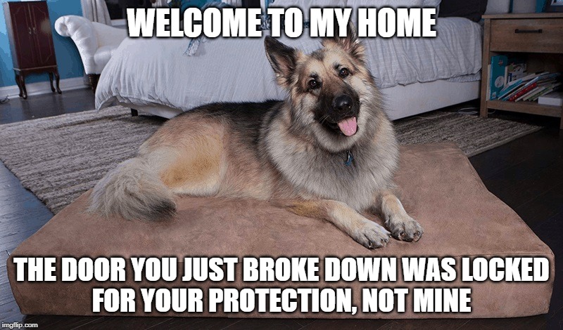 Alsatian Protection | WELCOME TO MY HOME; THE DOOR YOU JUST BROKE DOWN WAS LOCKED
FOR YOUR PROTECTION, NOT MINE | image tagged in alsatian dog,home,funny,funny memes | made w/ Imgflip meme maker