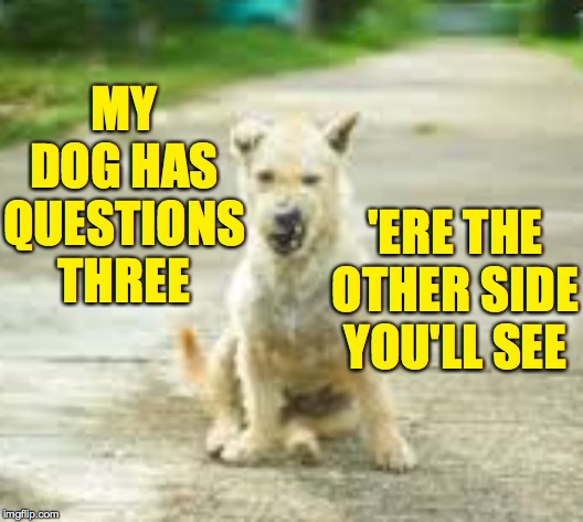MY DOG HAS QUESTIONS THREE 'ERE THE OTHER SIDE YOU'LL SEE | made w/ Imgflip meme maker