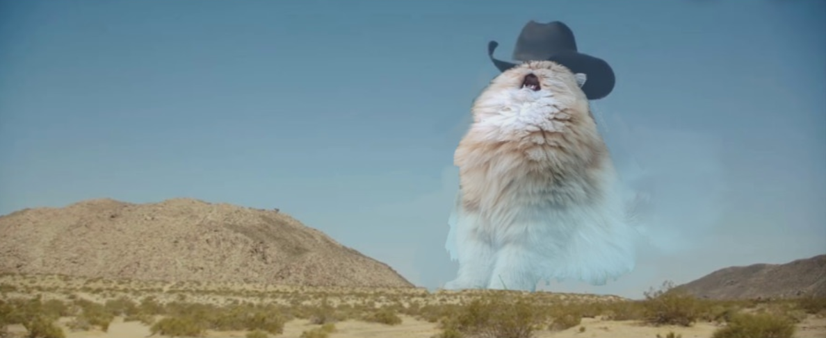 Find the newest cowboy cat meme. 
