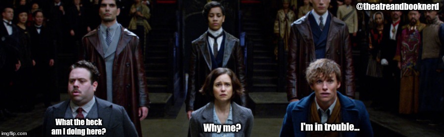 Fantastic Beasts and Where To Find Them | @theatreandbooknerd; What the heck am I doing here? I'm in trouble... Why me? | image tagged in memes,fantastic beasts and where to find them | made w/ Imgflip meme maker
