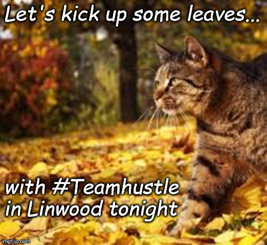 Autumn Hustle Cat | Let's kick up some leaves... with #Teamhustle in Linwood tonight | image tagged in hustle,cat,fall,autocorrect | made w/ Imgflip meme maker