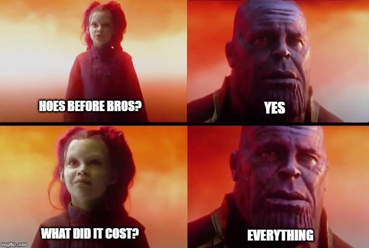 thanos what did it cost | HOES BEFORE BROS? YES; WHAT DID IT COST? EVERYTHING | image tagged in thanos what did it cost | made w/ Imgflip meme maker