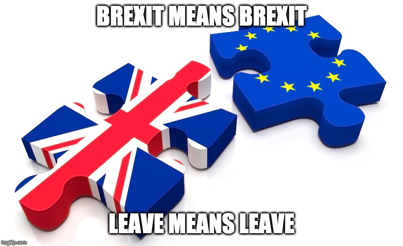 We voted to leave, so the EU needs to accept it and let us leave! If only the remoaners could accept a result they disagree with | BREXIT MEANS BREXIT; LEAVE MEANS LEAVE | image tagged in brexit,politics,memes,funny | made w/ Imgflip meme maker
