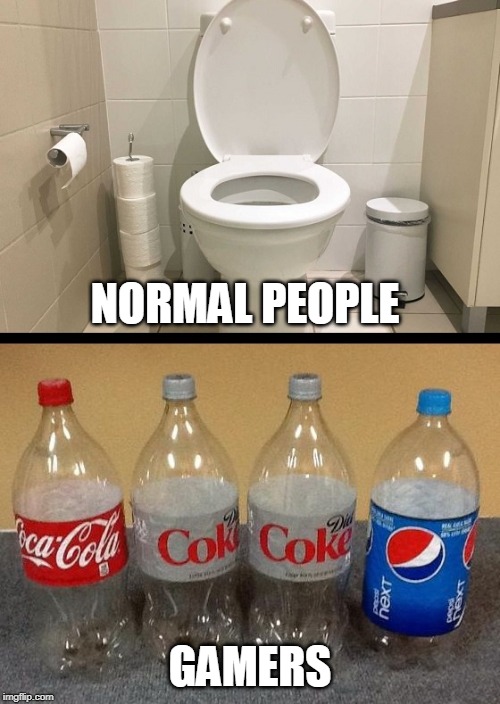 You can't pause an online game! | NORMAL PEOPLE; GAMERS | image tagged in gamer pee bottle | made w/ Imgflip meme maker
