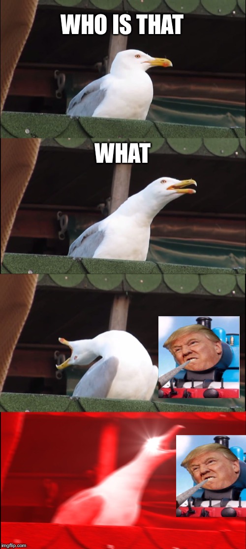 Inhaling Seagull | WHO IS THAT; WHAT | image tagged in memes,inhaling seagull | made w/ Imgflip meme maker