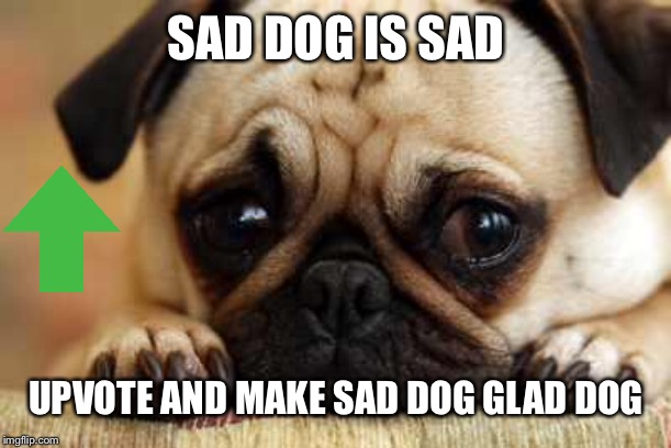 Sad Dog | SAD DOG IS SAD; UPVOTE AND MAKE SAD DOG GLAD DOG | image tagged in sad dog | made w/ Imgflip meme maker