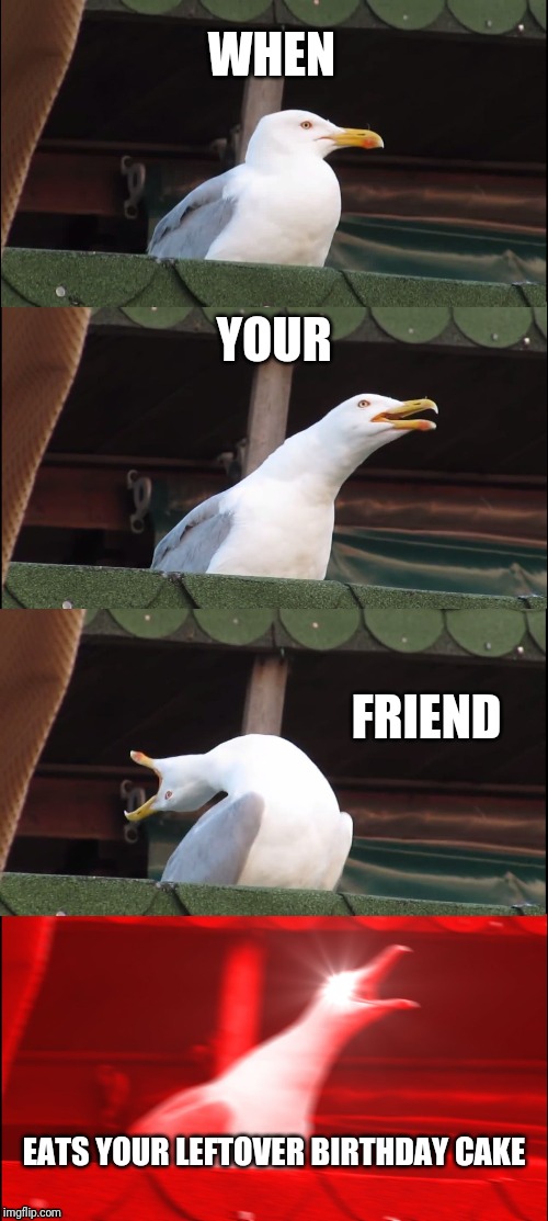 Inhaling Seagull Meme | WHEN; YOUR; FRIEND; EATS YOUR LEFTOVER BIRTHDAY CAKE | image tagged in memes,inhaling seagull | made w/ Imgflip meme maker