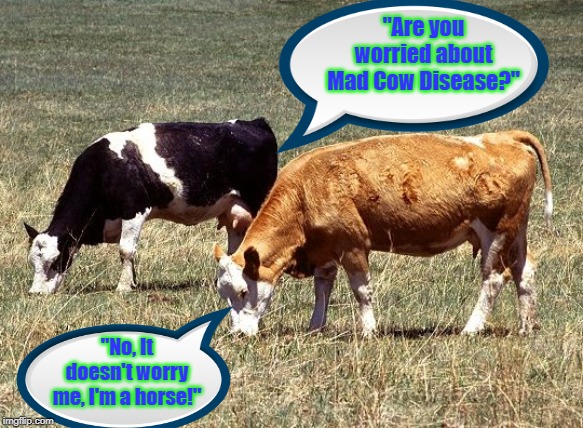 Two cows are standing in a field. | "Are you worried about Mad Cow Disease?"; "No, It doesn't worry me, I'm a horse!" | image tagged in funny | made w/ Imgflip meme maker