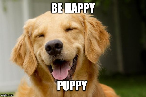 Happy Dog | BE HAPPY; PUPPY | image tagged in happy dog | made w/ Imgflip meme maker