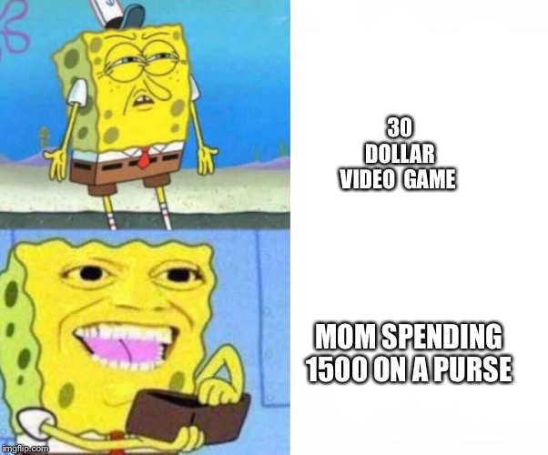 Sponge bob wallet | 30 DOLLAR VIDEO  GAME; MOM SPENDING 1500 ON A PURSE | image tagged in sponge bob wallet | made w/ Imgflip meme maker