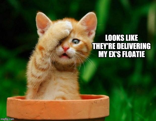 Cat Oh Man | LOOKS LIKE THEY'RE DELIVERING MY EX'S FLOATIE | image tagged in cat oh man | made w/ Imgflip meme maker