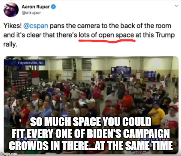 But not more space than is between Aaron Rupar's head | SO MUCH SPACE YOU COULD FIT EVERY ONE OF BIDEN'S CAMPAIGN CROWDS IN THERE...AT THE SAME TIME | image tagged in trump 2020,winning,still winning,winning some more,are you sick of winning yet | made w/ Imgflip meme maker