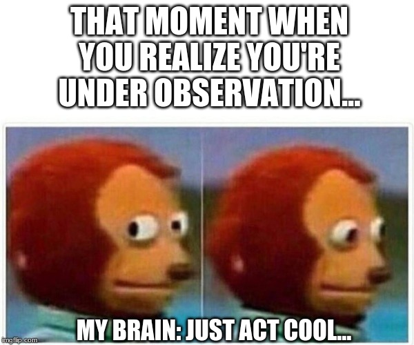 Monkey Puppet | THAT MOMENT WHEN YOU REALIZE YOU'RE UNDER OBSERVATION... MY BRAIN: JUST ACT COOL... | image tagged in monkey puppet | made w/ Imgflip meme maker