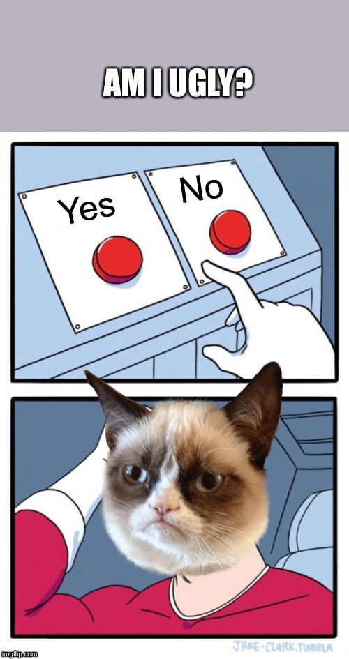 image tagged in grumpy cat,cat,two buttons,yes,no,ugly | made w/ Imgflip meme maker