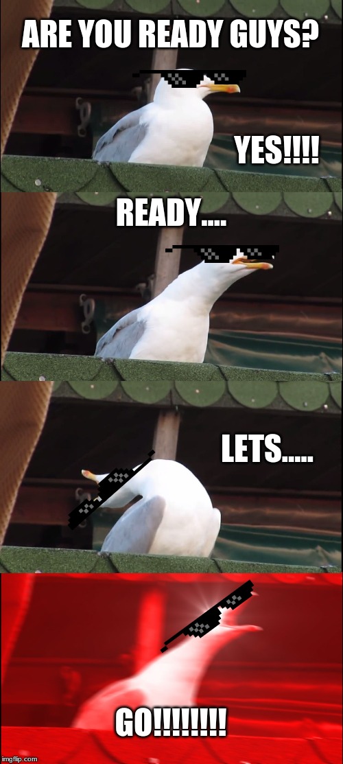 Inhaling Seagull Meme | ARE YOU READY GUYS? YES!!!! READY.... LETS..... GO!!!!!!!! | image tagged in memes,inhaling seagull | made w/ Imgflip meme maker