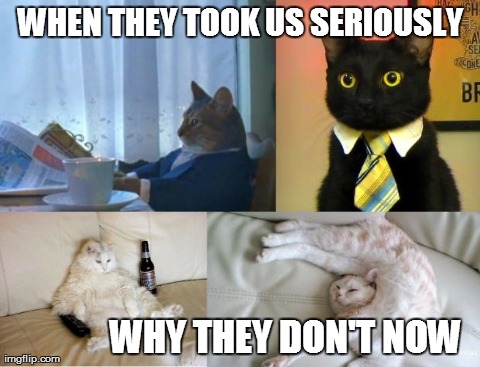 image tagged in memes,cats,i should buy a boat cat,business cat,funny | made w/ Imgflip meme maker