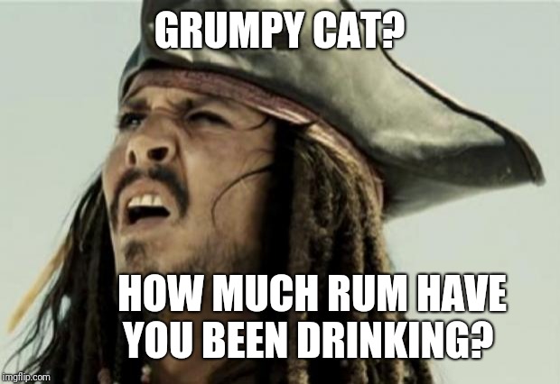 confused dafuq jack sparrow what | GRUMPY CAT? HOW MUCH RUM HAVE YOU BEEN DRINKING? | image tagged in confused dafuq jack sparrow what | made w/ Imgflip meme maker