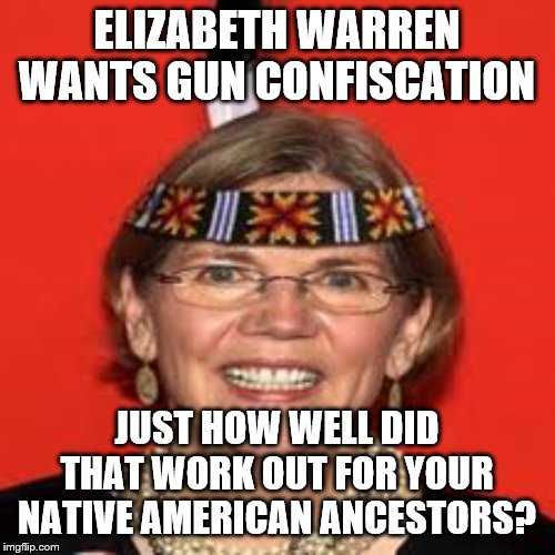 Elizabeth Warren | ELIZABETH WARREN WANTS GUN CONFISCATION; JUST HOW WELL DID THAT WORK OUT FOR YOUR NATIVE AMERICAN ANCESTORS? | image tagged in elizabeth warren | made w/ Imgflip meme maker