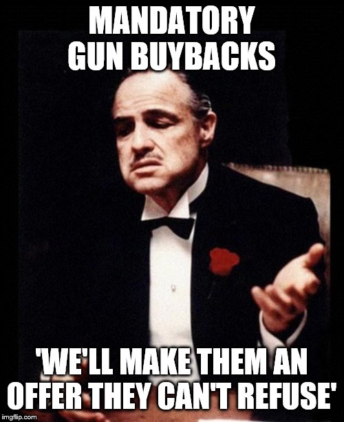 godfather | MANDATORY GUN BUYBACKS; 'WE'LL MAKE THEM AN OFFER THEY CAN'T REFUSE' | image tagged in godfather | made w/ Imgflip meme maker