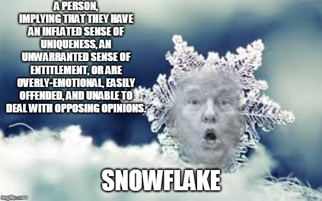 Snowflake | A PERSON, IMPLYING THAT THEY HAVE AN INFLATED SENSE OF UNIQUENESS, AN UNWARRANTED SENSE OF ENTITLEMENT, OR ARE OVERLY-EMOTIONAL, EASILY OFFENDED, AND UNABLE TO DEAL WITH OPPOSING OPINIONS. SNOWFLAKE | image tagged in snowflake,trump,triggered,loser | made w/ Imgflip meme maker