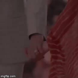 image tagged in gifs | made w/ Imgflip video-to-gif maker