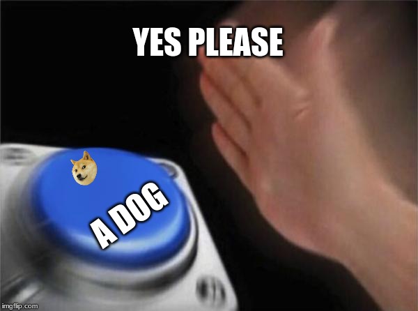Blank Nut Button | YES PLEASE; A DOG | image tagged in memes,blank nut button | made w/ Imgflip meme maker