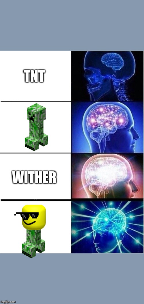 Expanding Brain Meme | TNT; WITHER | image tagged in memes,expanding brain | made w/ Imgflip meme maker