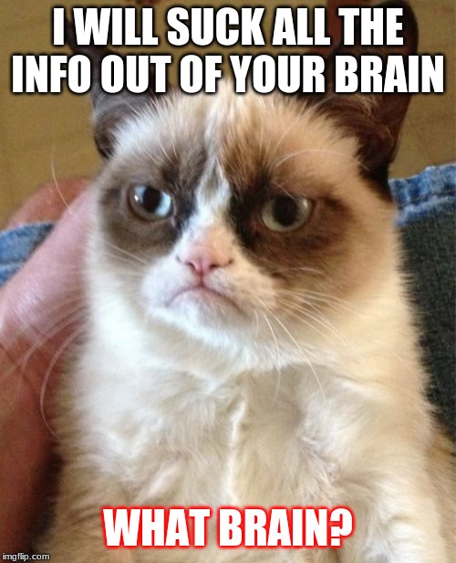 Grumpy Cat | I WILL SUCK ALL THE INFO OUT OF YOUR BRAIN; WHAT BRAIN? | image tagged in memes,grumpy cat | made w/ Imgflip meme maker