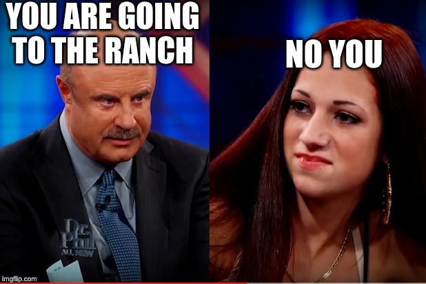 YOU ARE GOING TO THE RANCH; NO YOU | image tagged in dr phil | made w/ Imgflip meme maker
