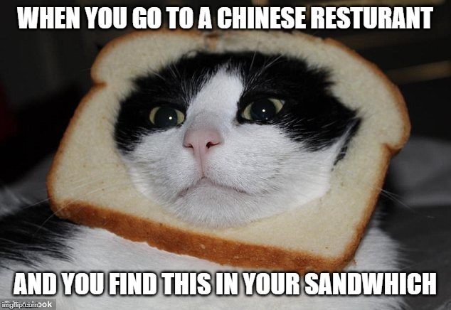 WHEN YOU GO TO A CHINESE RESTURANT; AND YOU FIND THIS IN YOUR SANDWHICH | image tagged in wow | made w/ Imgflip meme maker