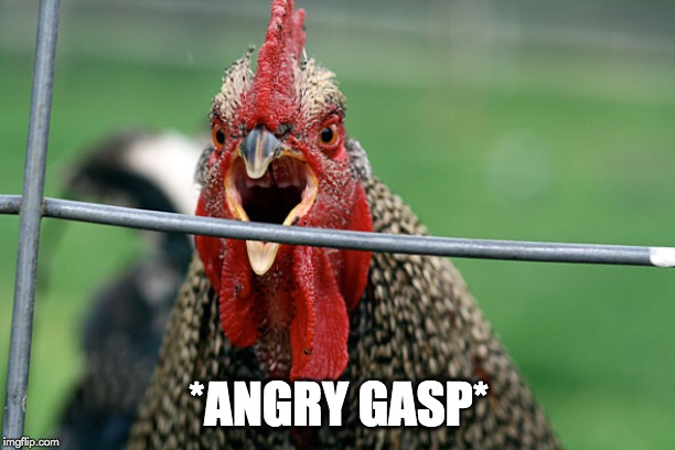 Angry chicken | *ANGRY GASP* | image tagged in angry chicken | made w/ Imgflip meme maker