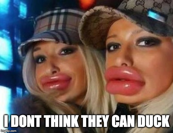 Duck Face Chicks Meme | I DONT THINK THEY CAN DUCK | image tagged in memes,duck face chicks | made w/ Imgflip meme maker