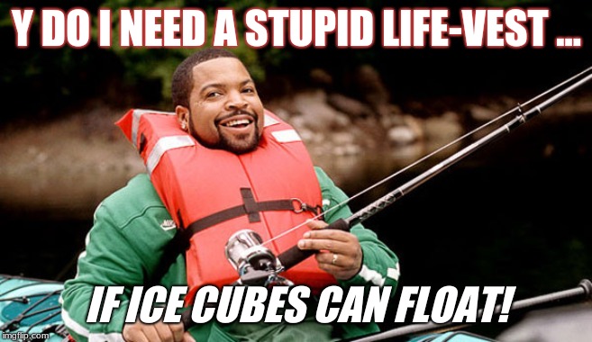 Ice cubes float | Y DO I NEED A STUPID LIFE-VEST ... IF ICE CUBES CAN FLOAT! | image tagged in ice cubes float | made w/ Imgflip meme maker