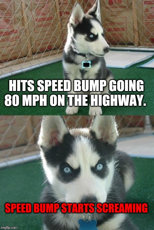 Insanity Puppy | HITS SPEED BUMP GOING 80 MPH ON THE HIGHWAY. SPEED BUMP STARTS SCREAMING | image tagged in memes,insanity puppy | made w/ Imgflip meme maker