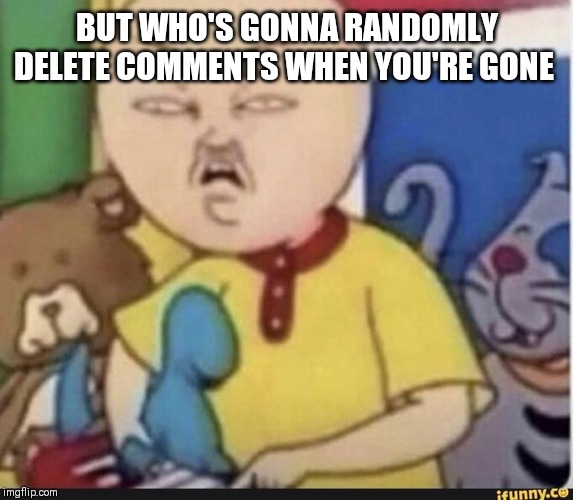 BUT WHO'S GONNA RANDOMLY DELETE COMMENTS WHEN YOU'RE GONE | made w/ Imgflip meme maker